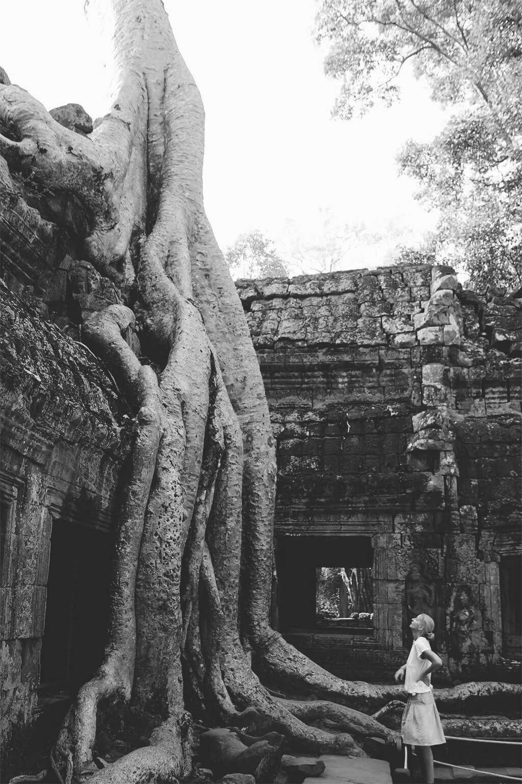 Ta Prohm - Angkor Tempel