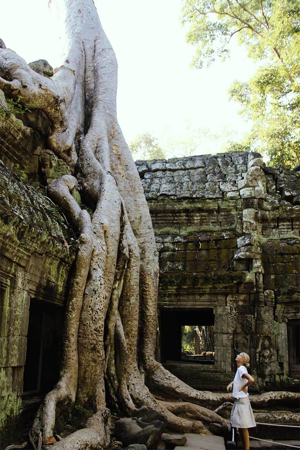 Ta Prohm Temple - Angkor, Cambodia