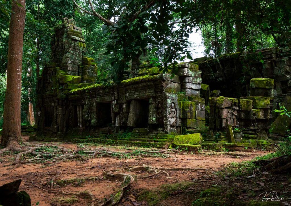 ta prohm angkor tempel regenzeit gruen osteingang
