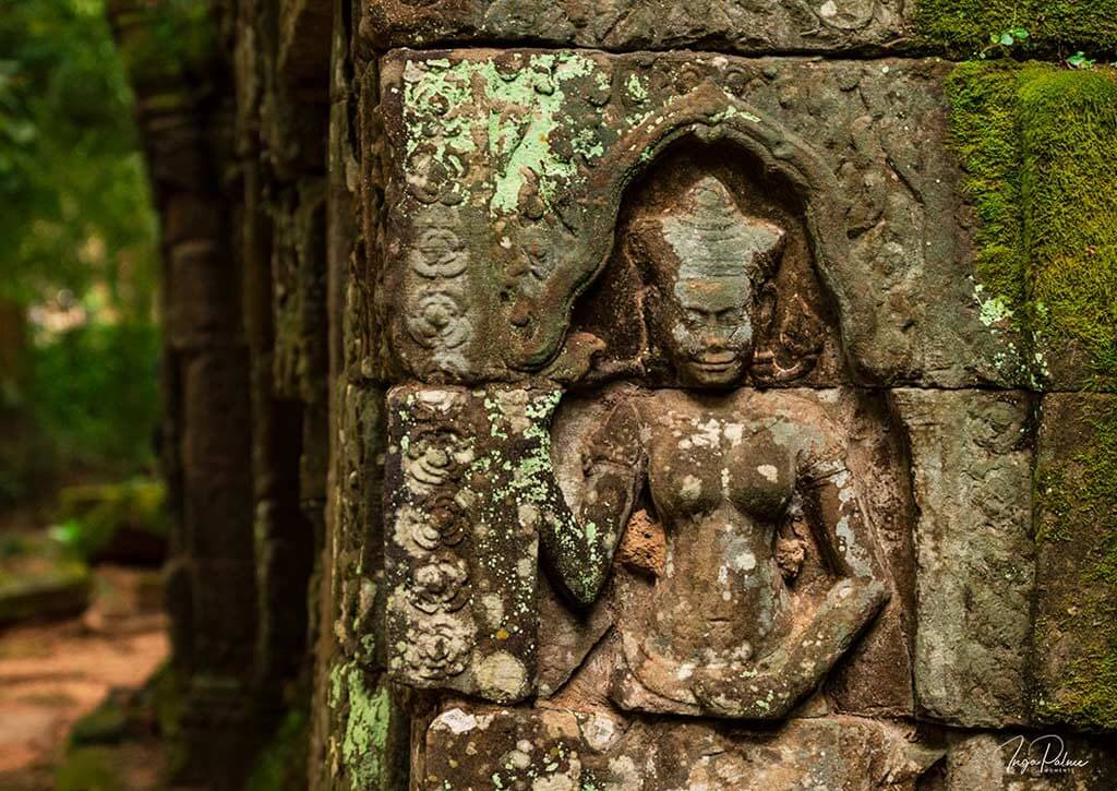 ta prohm devata regenzeit gruen angkor