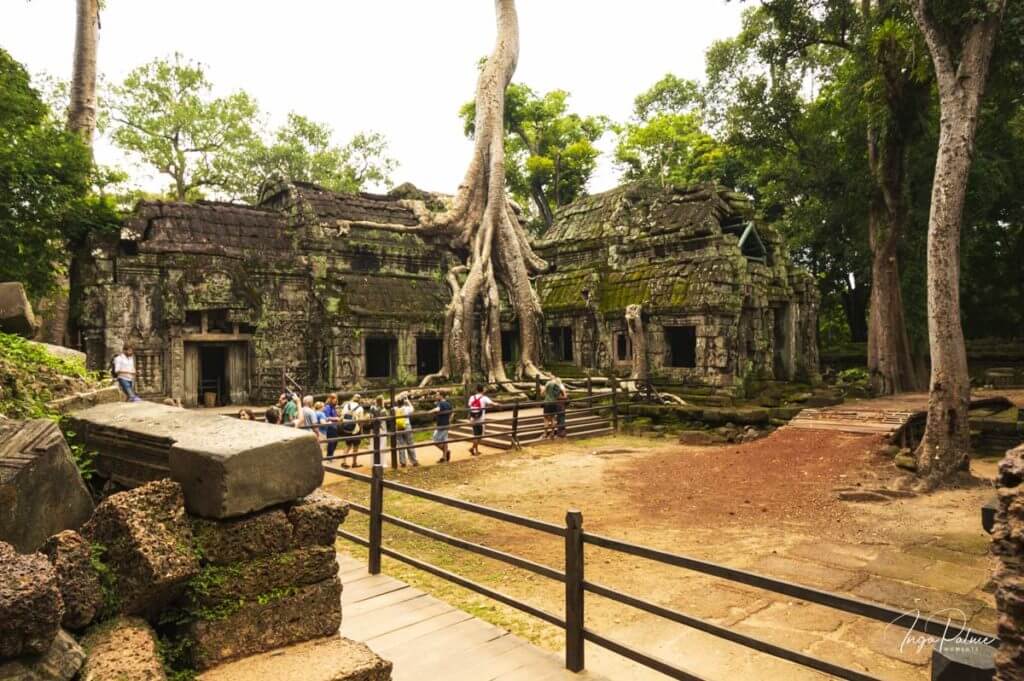 ta prohm touristen wurzeln wuergefeige osttor