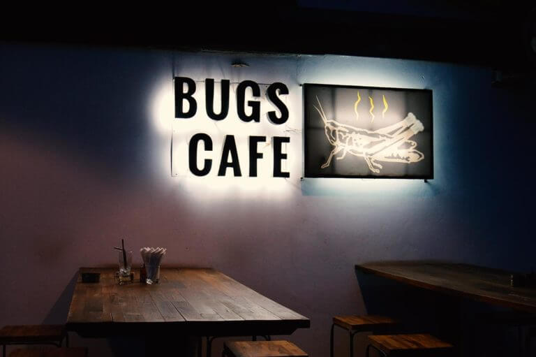 Terrasse vor dem Bugs Cafe in Siem Reap