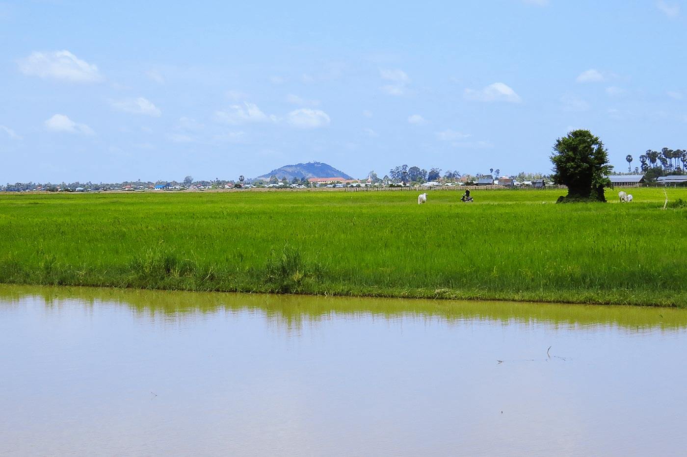 Weitblick über das Feld zum Phnom Krom im Süden von Siem Reap