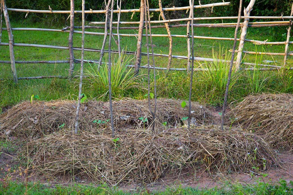 Community Garten in der Leang Dai Provinz von Camborea, Kambodscha