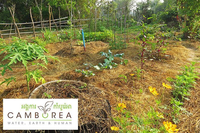 Pflanzen im Community Garten von Camborea