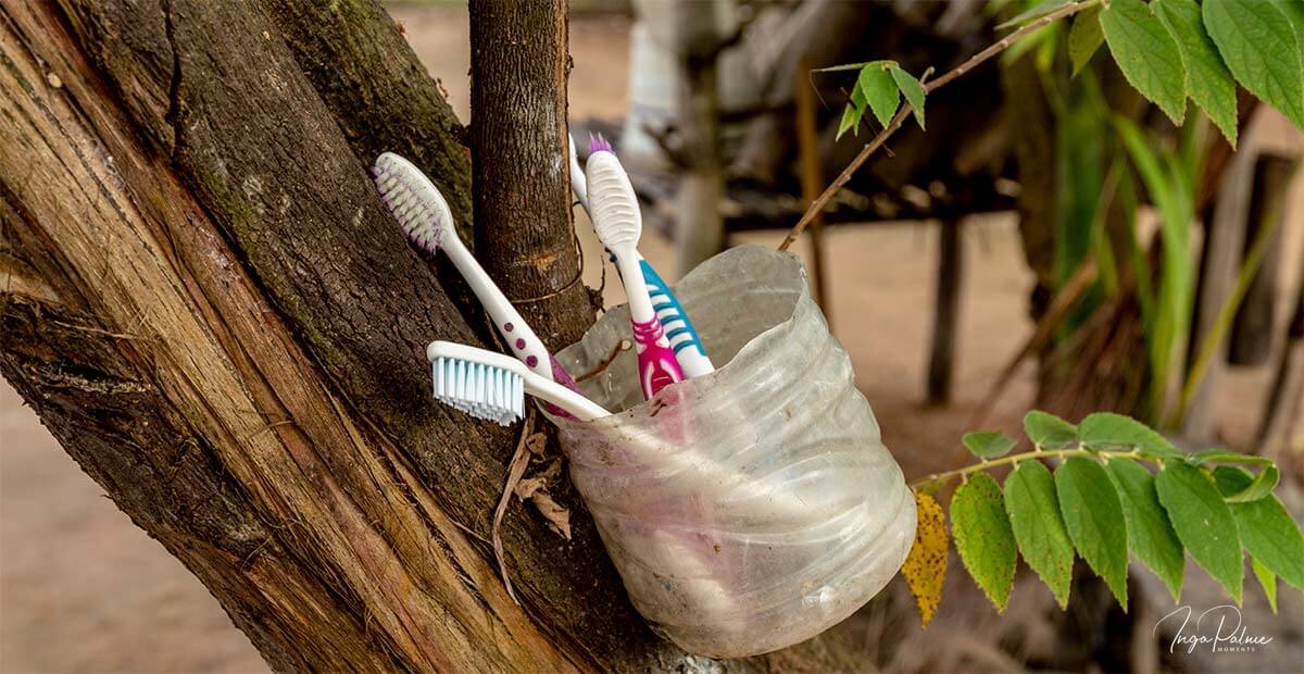 Zahnbürsten an einem Baum befestigt in einer alten Plastikflasche, Siem Reap