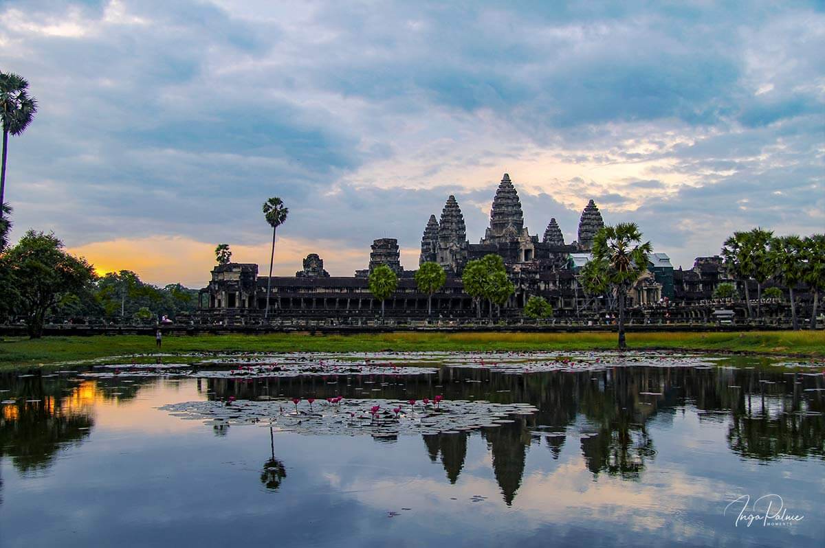 Angkor Wat, Sonnenaufgang am Seerosenteich - 2013