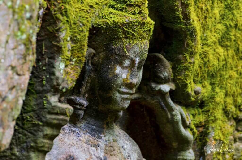 Ta Prohm - Devata - 190 mm