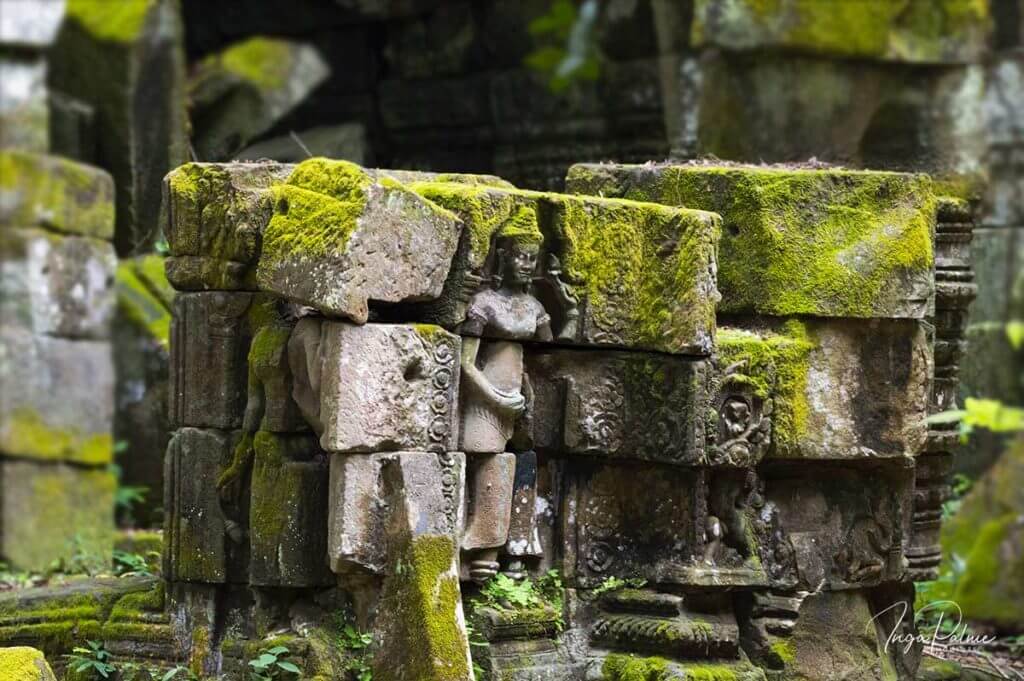 Ta Prohm - mit Moos bewachsene Devata