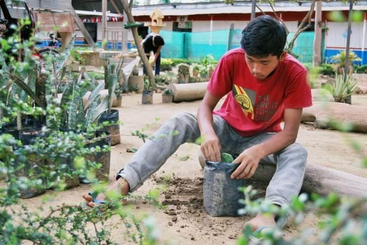 oase e v kambodscha pflanzen schule