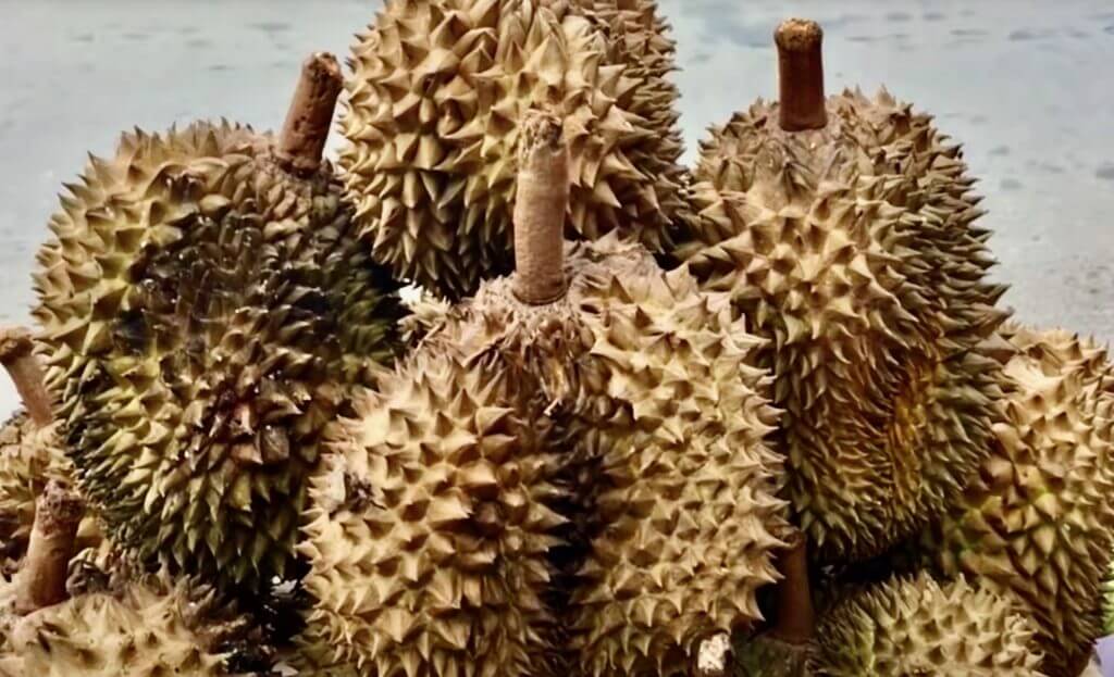 Durian