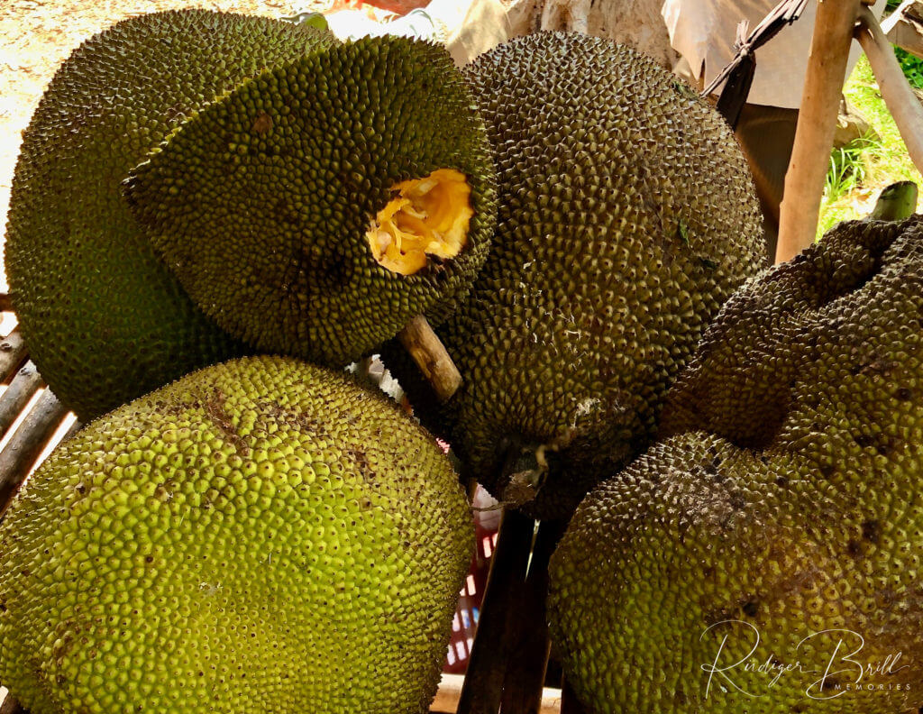 Jackfruit 3 1