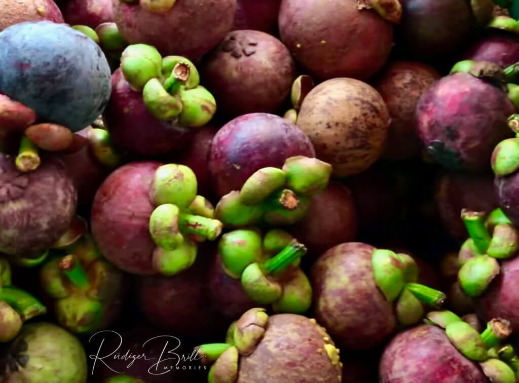 Mangosteen