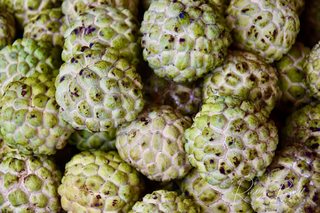 cherimoya fruechte kambodscha