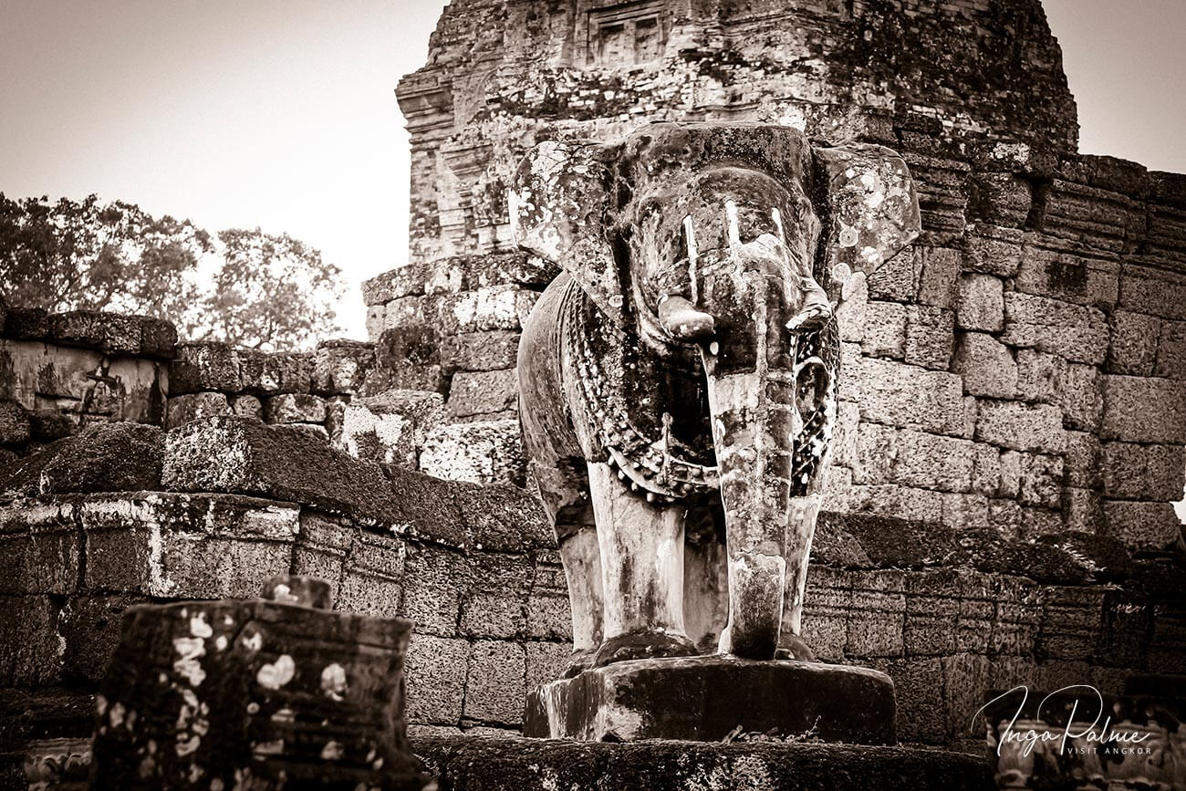 Östlicher Mebong - Elefant aus Stein, Angkor Tempel