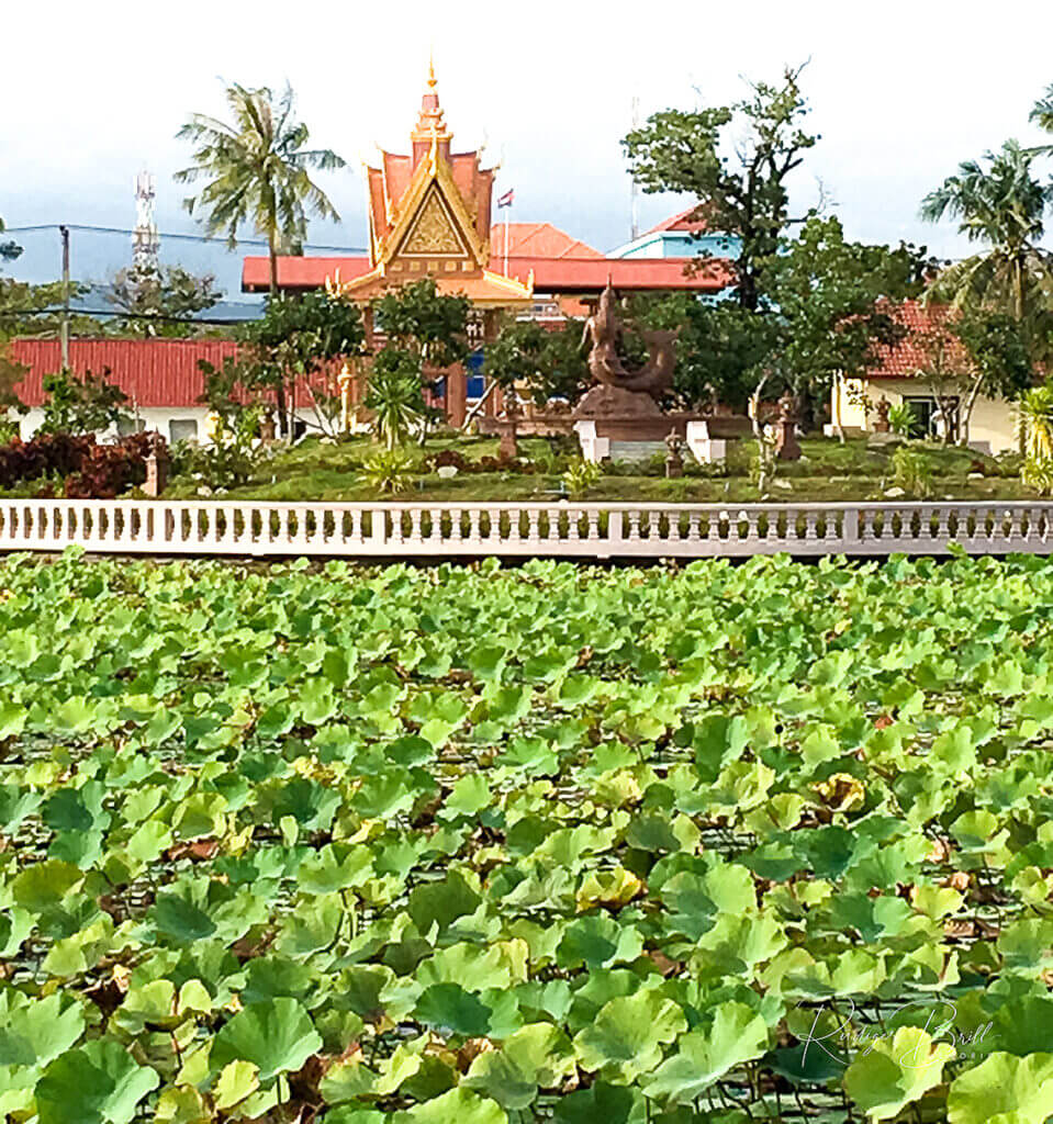 lotos pont kampot kambodscha