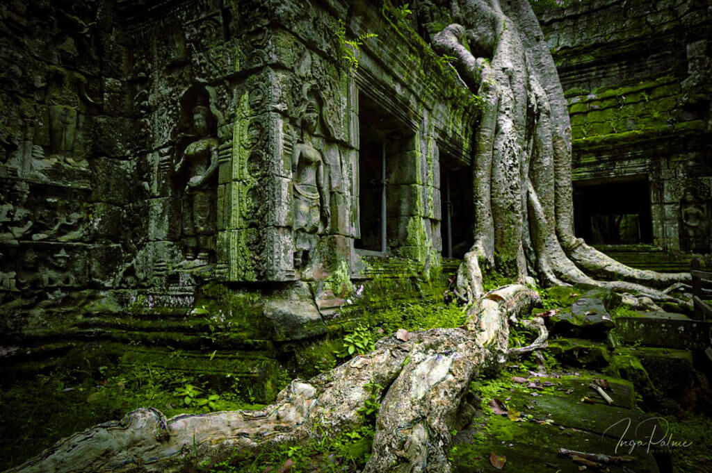 ta prohm osttor wuergefeigen 1 von 1