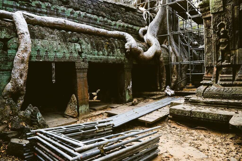 ta prohm angkor baueme faellen 4