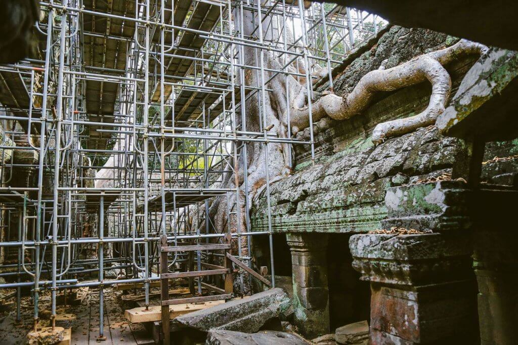 ta prohm angkor baueme faellen photo sok kakada 2