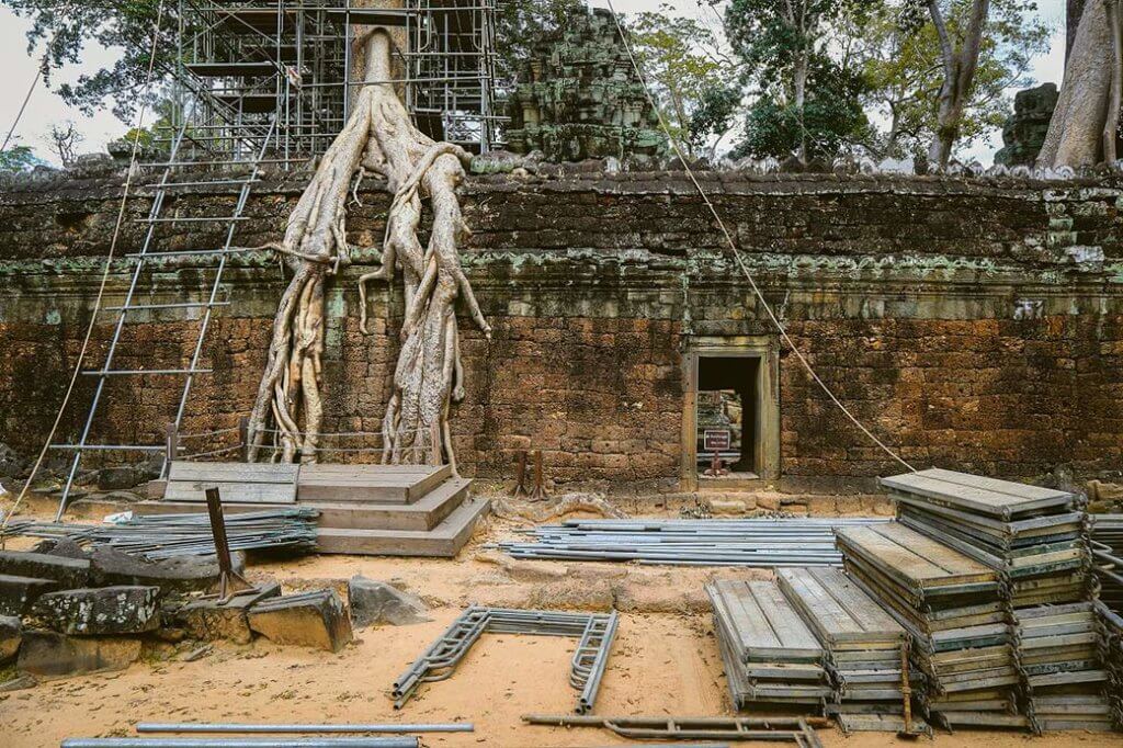 ta prohm angkor baueme faellen photo sok kakada 3