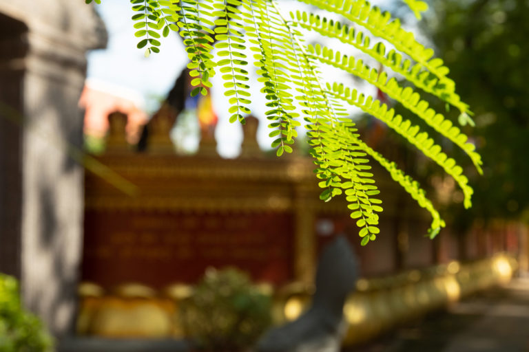 Pagode in Siem Reap im Sonnenlicht