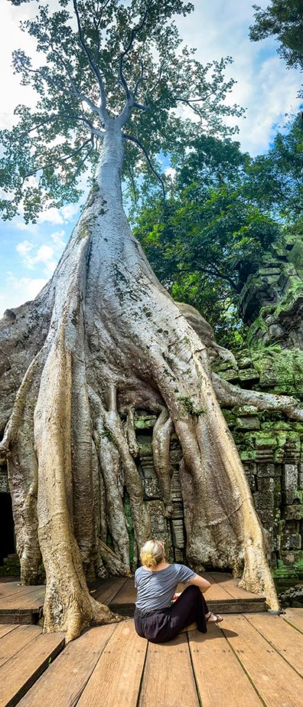 Am Fuße eines Tetrameles nudiflora am Ta Prohm