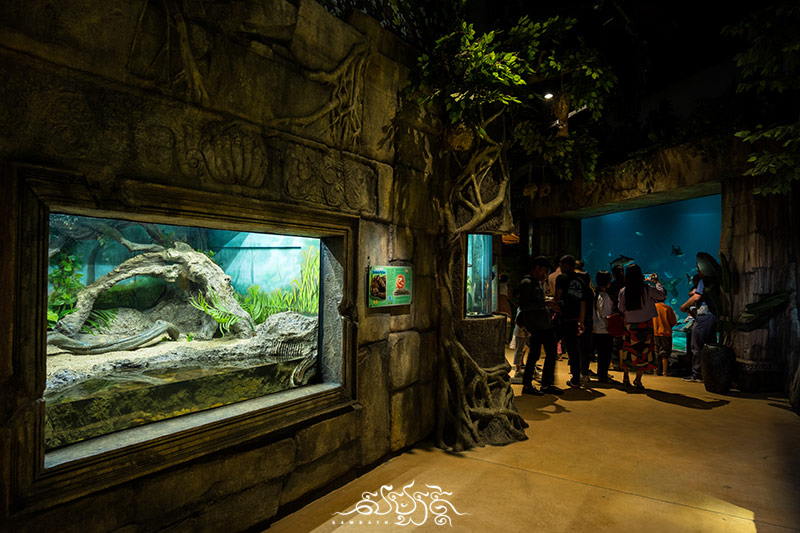 besucher zoo angkor wildlife aquarium siem reap photo ryratanak