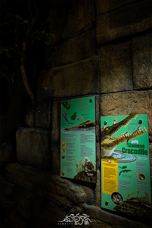 krokodil erklaertafel zoo angkor wildlife aquarium siem reap photo ryratanak