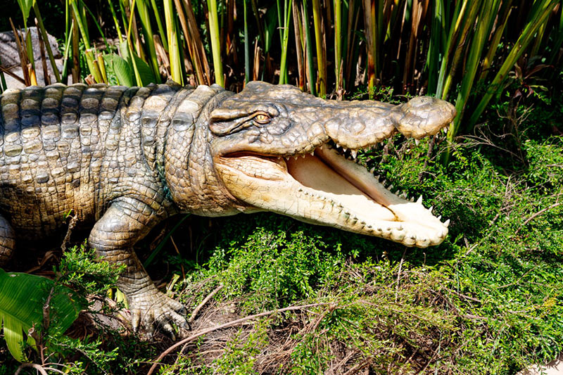 krokodilatrappe zoo angkor wildlife aquarium siem reap photo ruediger