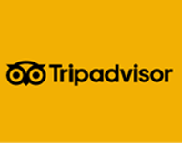 tripadvisor logo yellow