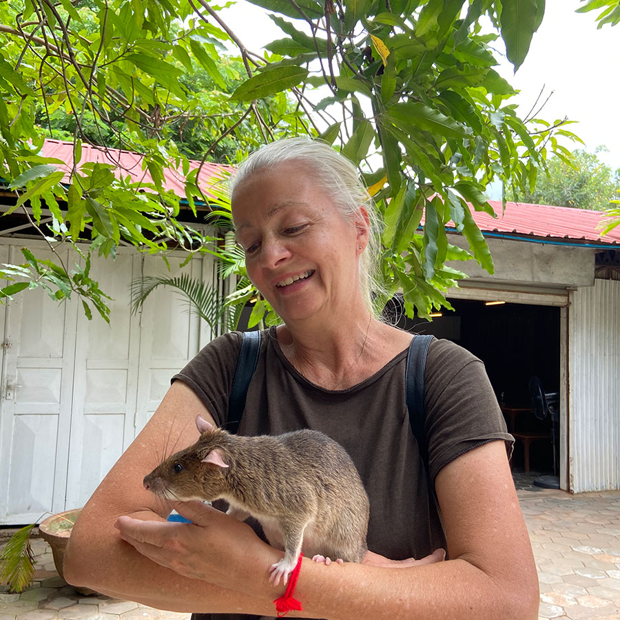 APOPO - die Hero Rats von Siem Reap 9 Ich, Inga , halte eine Ratte auf dem Arm und freunde mich langsam mit ihr an.