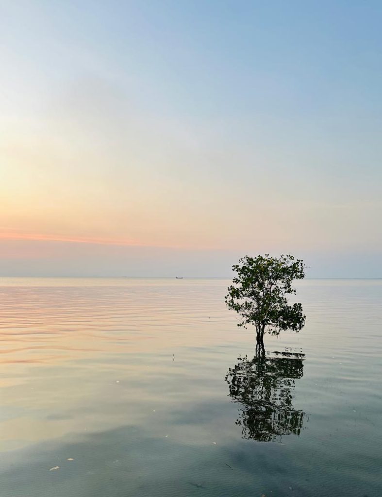 Nesat Village – zwischen Lagune, Dschungel und Meer 20 sonnenuntergang Sopheak Mongkol Beach Resort koh kong 8