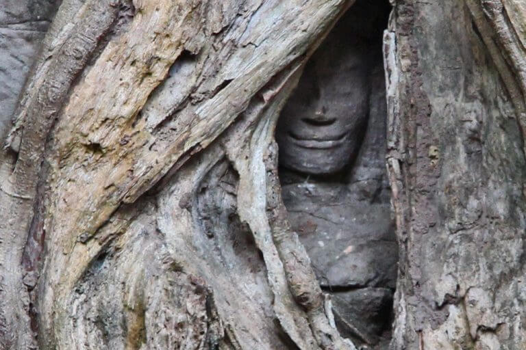 Ta Prohm Sculpture, Angko