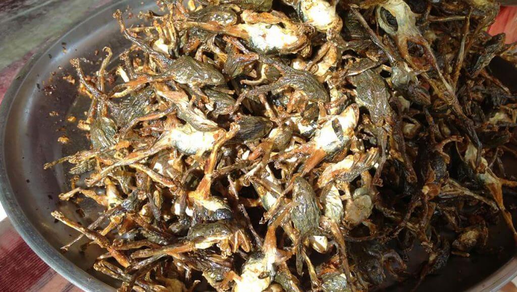 Fried Frogs, Market Siem Reap