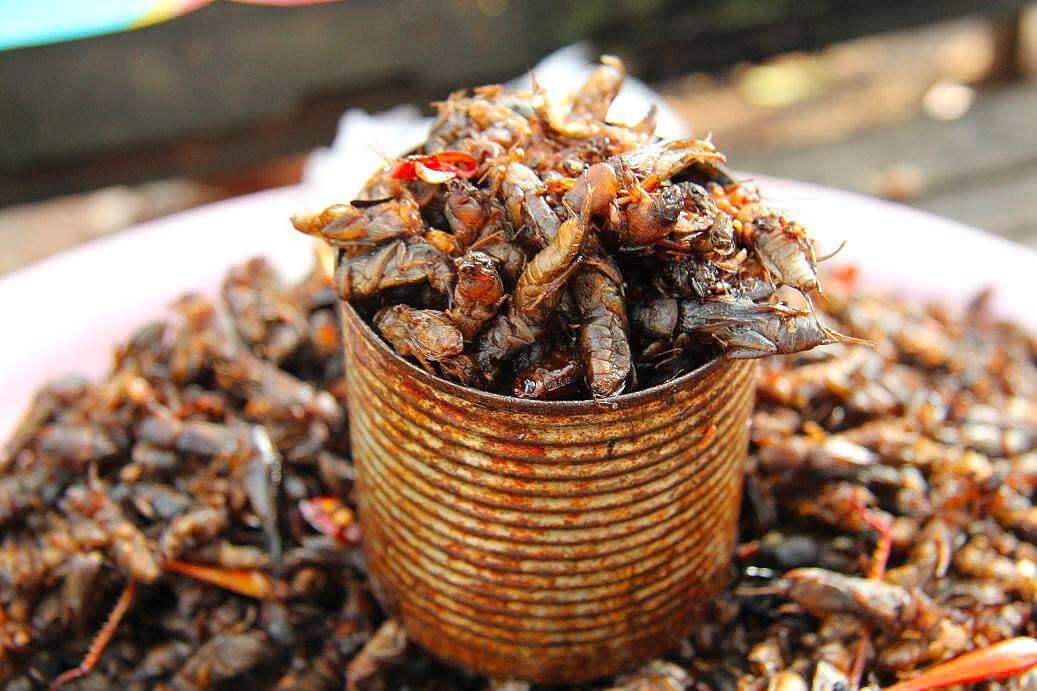 Insects at the market in Siem Reap