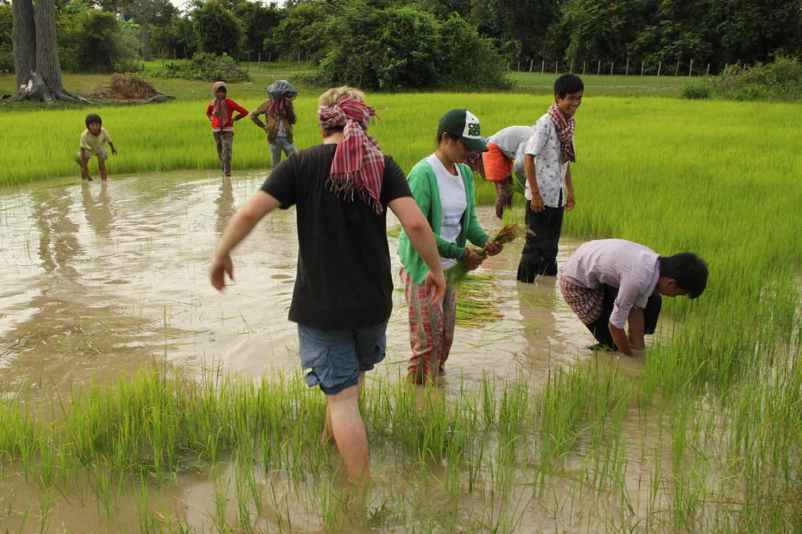 having fun with help in the ricefield