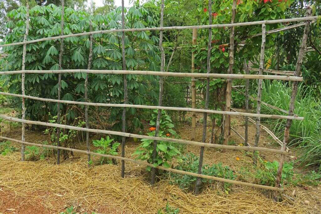 Camborea Community Garden