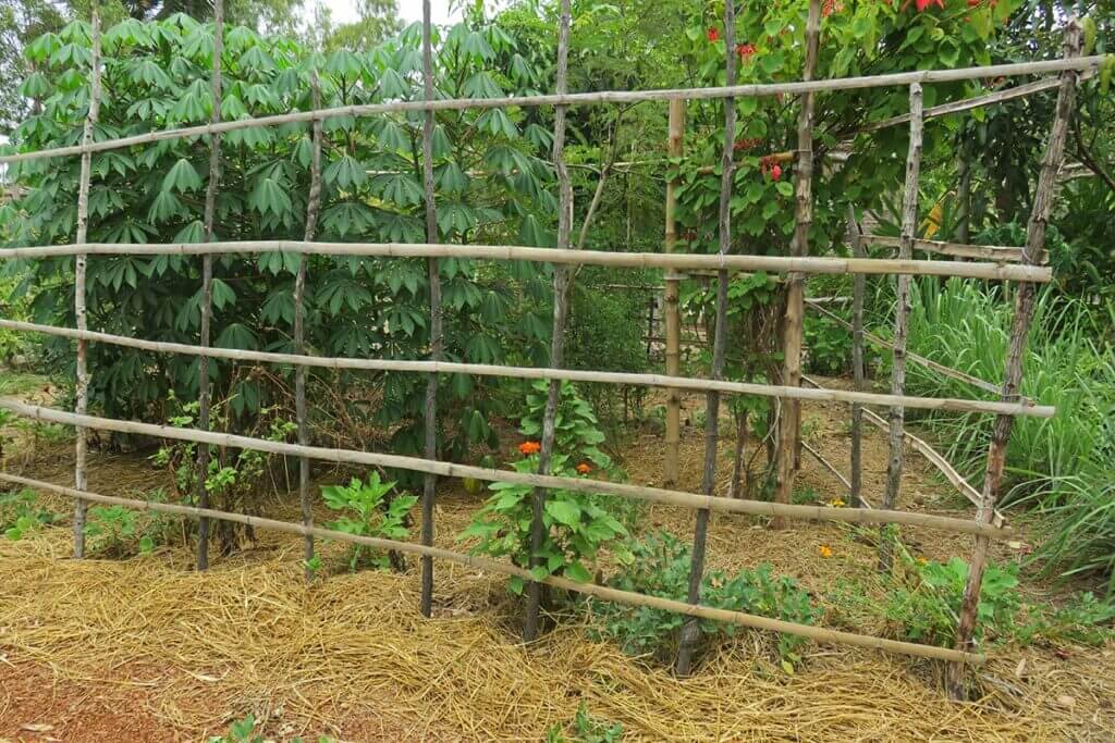 Camborea Community Garden