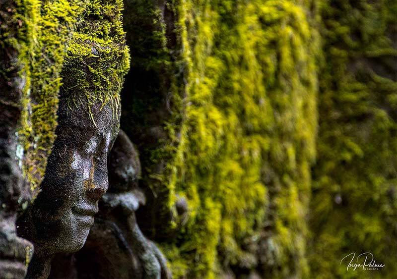 Ta Prohm - rainy season, green - East Gate, Carving 