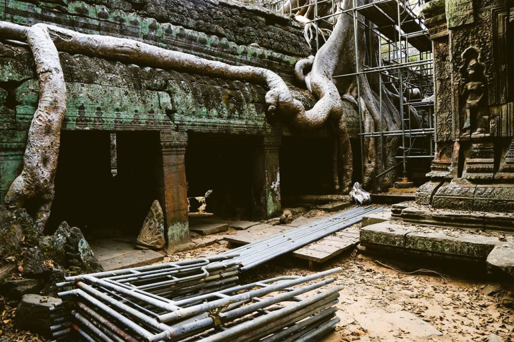 ta prohm angkor cutting trees 4