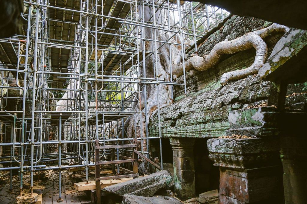 ta prohm angkor cutting trees photo sok kakada 2