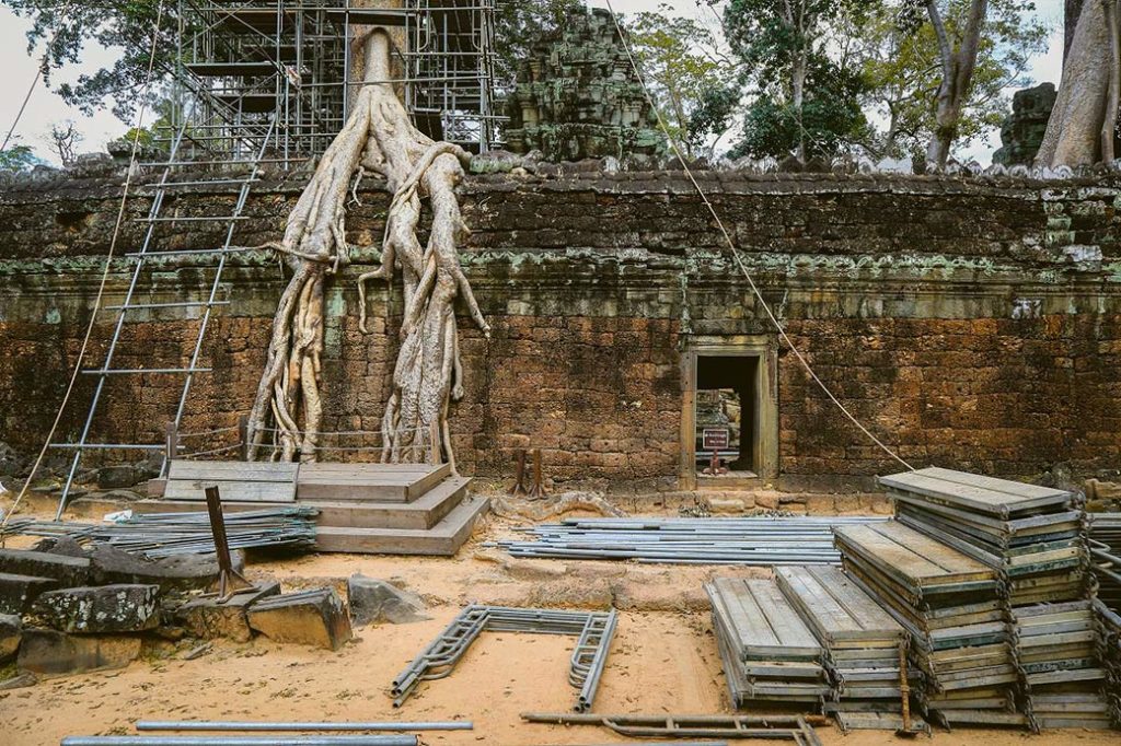 ta prohm angkor cutting trees photo sok kakada 3