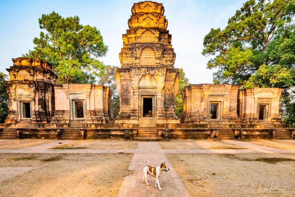 prasat kravan angkor temple dog