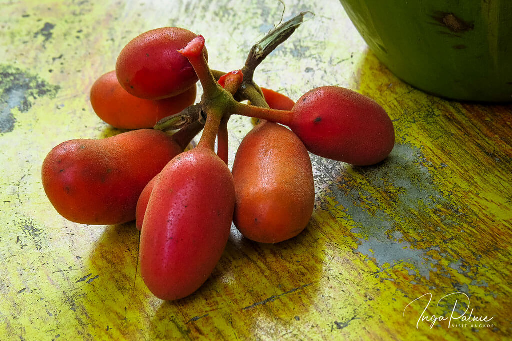 uvaria rufa fruit cambodia